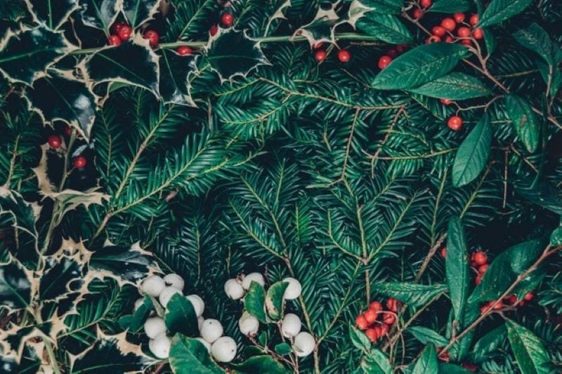An Array of Traditional Carols and Songs That Will Bring Joy and Fun to Your Holiday Celebrations When Using an Artificial Green Christmas Tree.